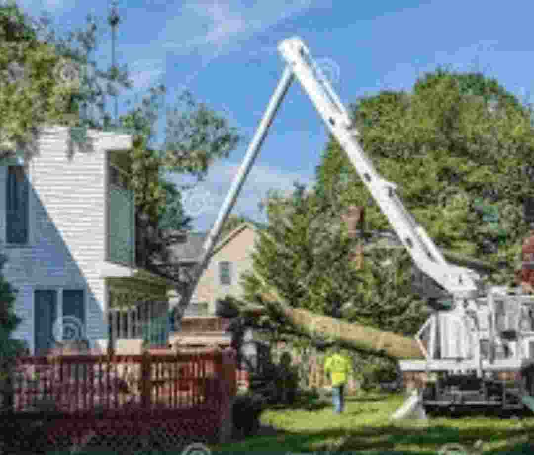 Crane removing debris from house